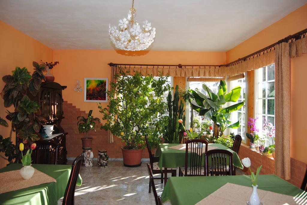 Villa Hedi Dunakiliti Exterior photo