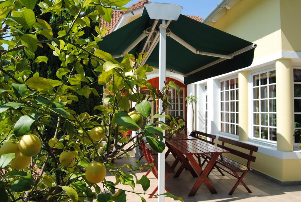 Villa Hedi Dunakiliti Exterior photo