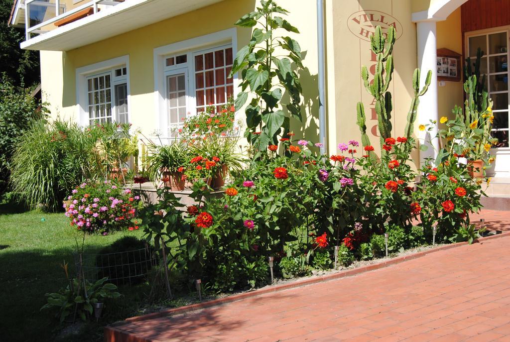 Villa Hedi Dunakiliti Exterior photo